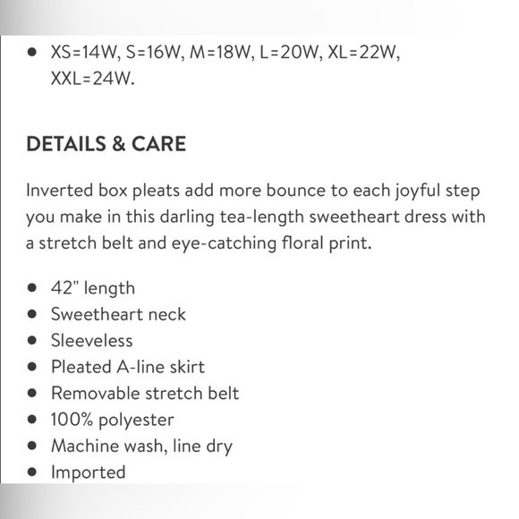 City Chic Floral A Line Dress - Picture 3 of 7